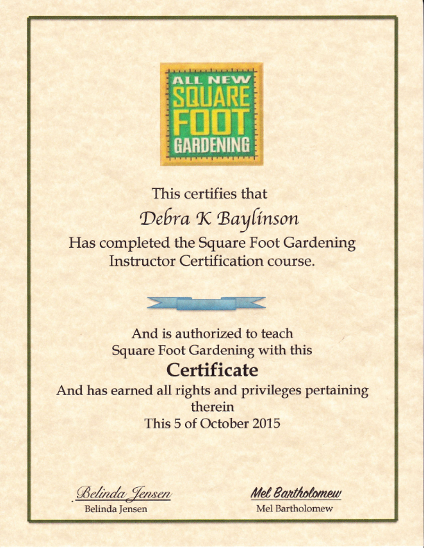 sfg-certificate-2_001